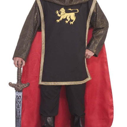 Medieval Knight Royal King Adult Costume Standard