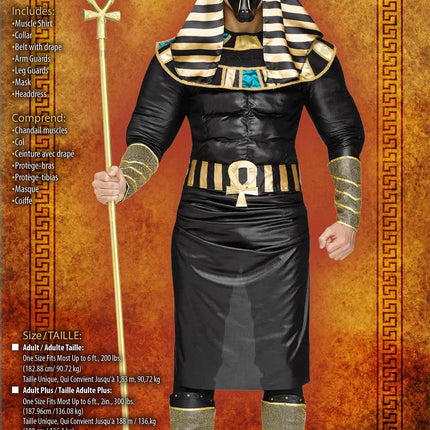 Anubis Ancient Egyptian Jackal Deity Adult Costume