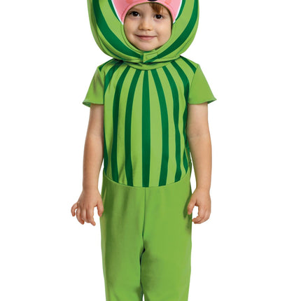 Cocomelon Watermelon Toddler Costume Size 2T