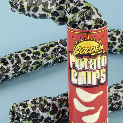 Potato Chip Snake Can Pop Out Surprise Can Gag Gift