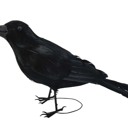 Realistic Giant Black Raven Bird Prop