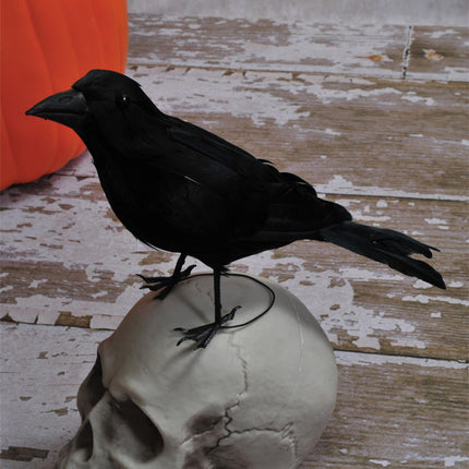 Realistic Giant Black Raven Bird Prop