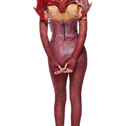 Slay Me Dragon Costume