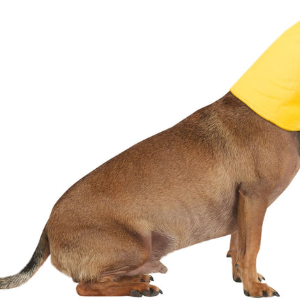 Winnie the Pooh: Pet Costume Headpiece Pooh Bear