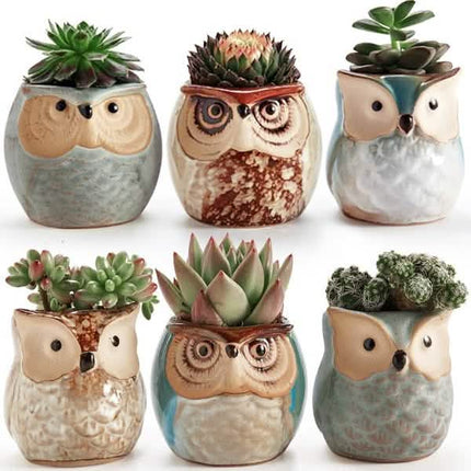 6-Pack: 2.5 Inch Owl Pot Ceramic Base