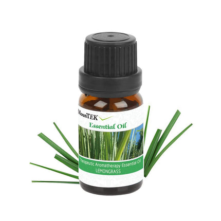 6-Pack: Therapeutic Aromatherapy Essential Oils Bottle