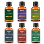 Top 6 Blends