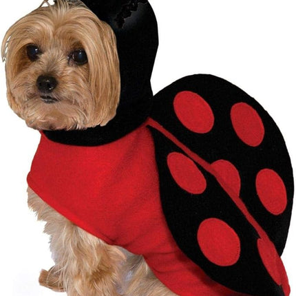 Lady Bug Pet Costume