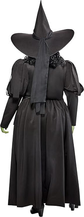 Wicked Witch Wizard Of Oz Adult Costume Plus Size Dress Officially Licensed
