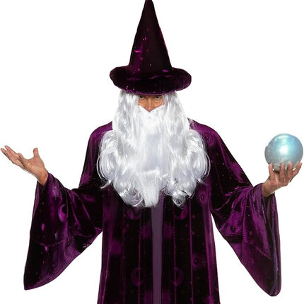 Purple Wizard Midnight Mystic Fantasy Magic Sorcerer Men's Costume