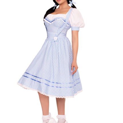 2 PC Kansas Sweetie Costume, Includes Eyelet Trimmed Gingham Dress with Sweetheart Bodice and (2) Matching Hair Ties - Blue - SMALL