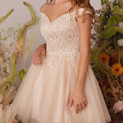 CLEARANCE - Eureka 9833 Short A-Line Off Shoulder Glitter Mesh Dress (Size M)