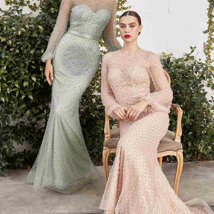 Andrea & Leo A0997W Pearl Beaded Long Sleeve Fit and Flare Long Dress