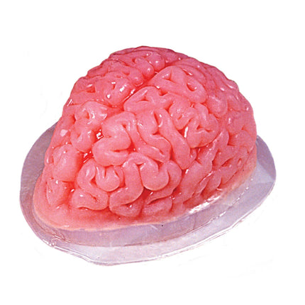 Brain Body Part Gelatin Jello Mold Haunted Halloween House Prop