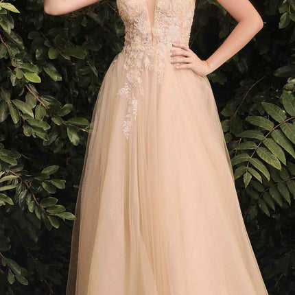 Cinderella Divine CB075 Long Floral A-Line Tulle Gown