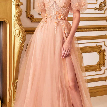 Cinderella Divine CB080 Long Strapless Tulle Floral Ball Gown