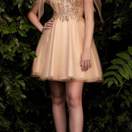 Cinderella Divine CD0174 Short A-Line Dress Lace Applique Tulle Ribbon