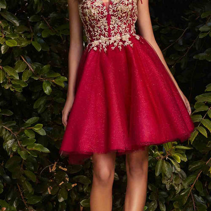 Cinderella Divine CD0188 Short A-Line Tulle and Lace Dress