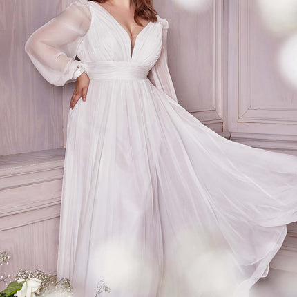 Cinderella Divine CD0192W Long Sleeve A-Line Chiffon Dress