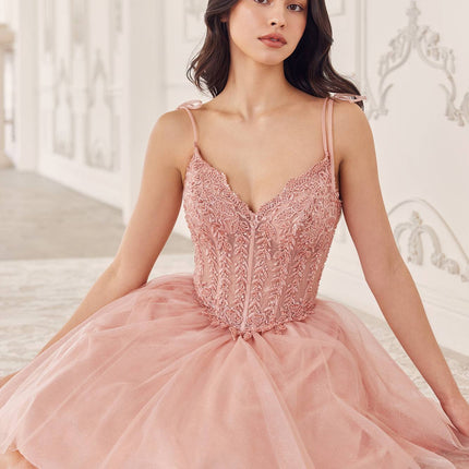 Ladivine CD0236 Short A-Line Tulle Homecoming Dress