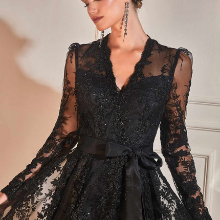 Cinderella Divine CD233 Long Sleeve Embellished Ball Gown