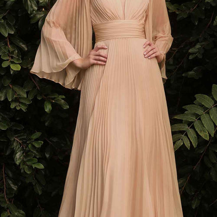 Cinderella Divine CD242 Pleated Chiffon Long Sleeve Gown