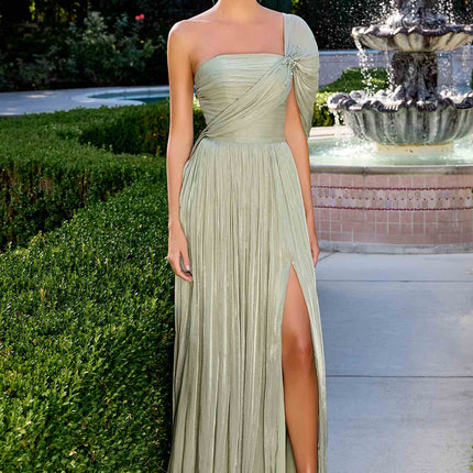 Ladivine CD418 One Shoulder A-Line Pleated Luminescent Chiffon Gown