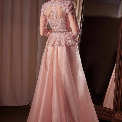 Ladivine CD789 Dress Three Quarter Sleeve Lace & Tulle A-Line Gown