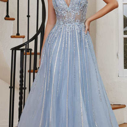 Cinderella Divine CD994 Long A-Line Beaded Tulle Gown Lace Detail V-Neck