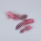 Pink / 100PCS