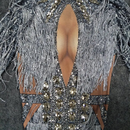 Sparkly Silver Crystal Rhinestone & Fringe Bodysuit Stage Performance Costume