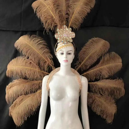 Feather Backpiece and Plume Headdress Set