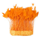 Orange / 2Meters