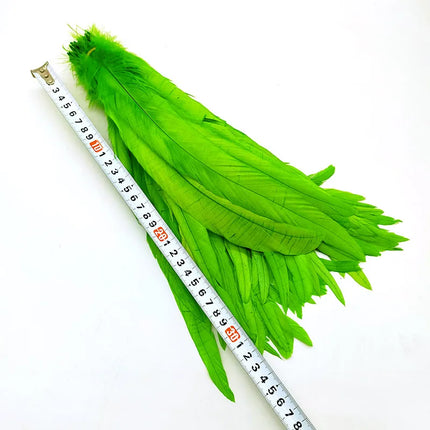 100pcs Natural Rooster Tail Feathers 10-16" Stage Performance Costume Plumes