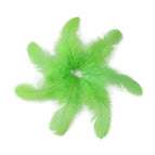 Apple Green / 2000PCS