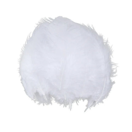 Natural Rooster Craft Feathers Bulk Lot