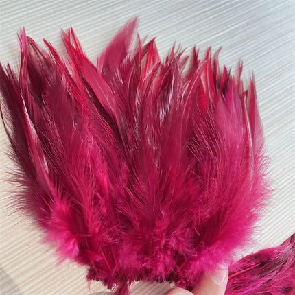 Natural Rooster Craft Feathers Bulk Pack