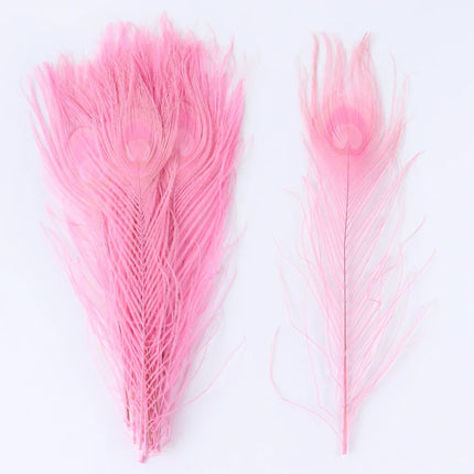 Premium Peacock Eye Feathers 10PC
