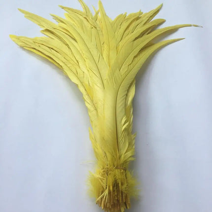 100pcs Natural Rooster Tail Feathers 10-16" Stage Performance Costume Plumes