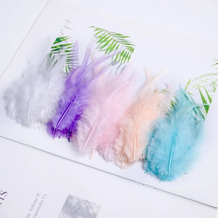 Natural Pheasant & Chicken Craft Feathers Bulk Lot