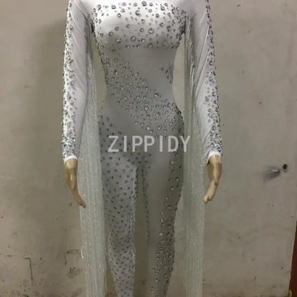 Silver Red Rhinestone Fringe Jumpsuit Stage Performance Outfit Dancer Catsuit