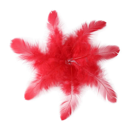 Natural Rooster Craft Feathers Bulk Lot