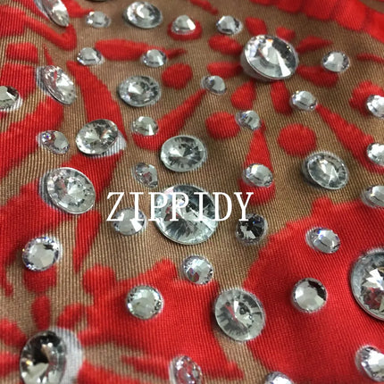 Silver Red Rhinestone Fringe Jumpsuit Stage Performance Outfit Dancer Catsuit