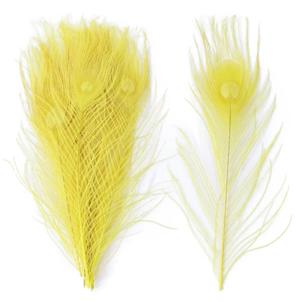 Premium Peacock Eye Feathers 10PC