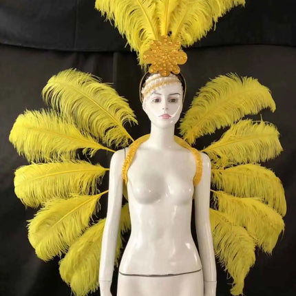 Feather Backpiece and Plume Headdress Set