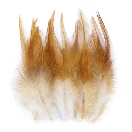 Natural Pheasant & Chicken Craft Feathers Bulk Lot
