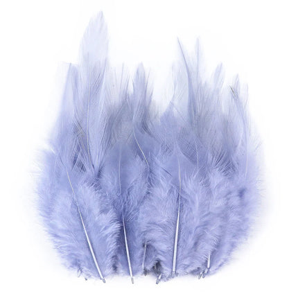Natural Pheasant & Chicken Craft Feathers Bulk Lot