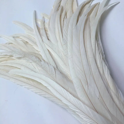 100pcs Natural Rooster Tail Feathers 10-16" Stage Performance Costume Plumes