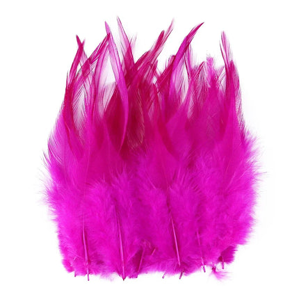 Natural Pheasant & Chicken Craft Feathers Bulk Lot
