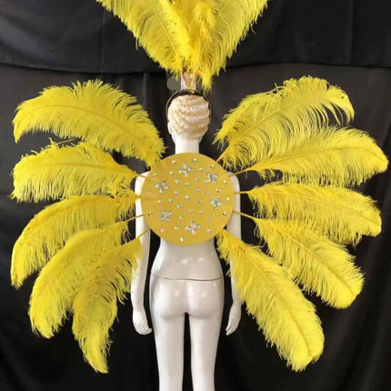 Feather Backpiece and Plume Headdress Set